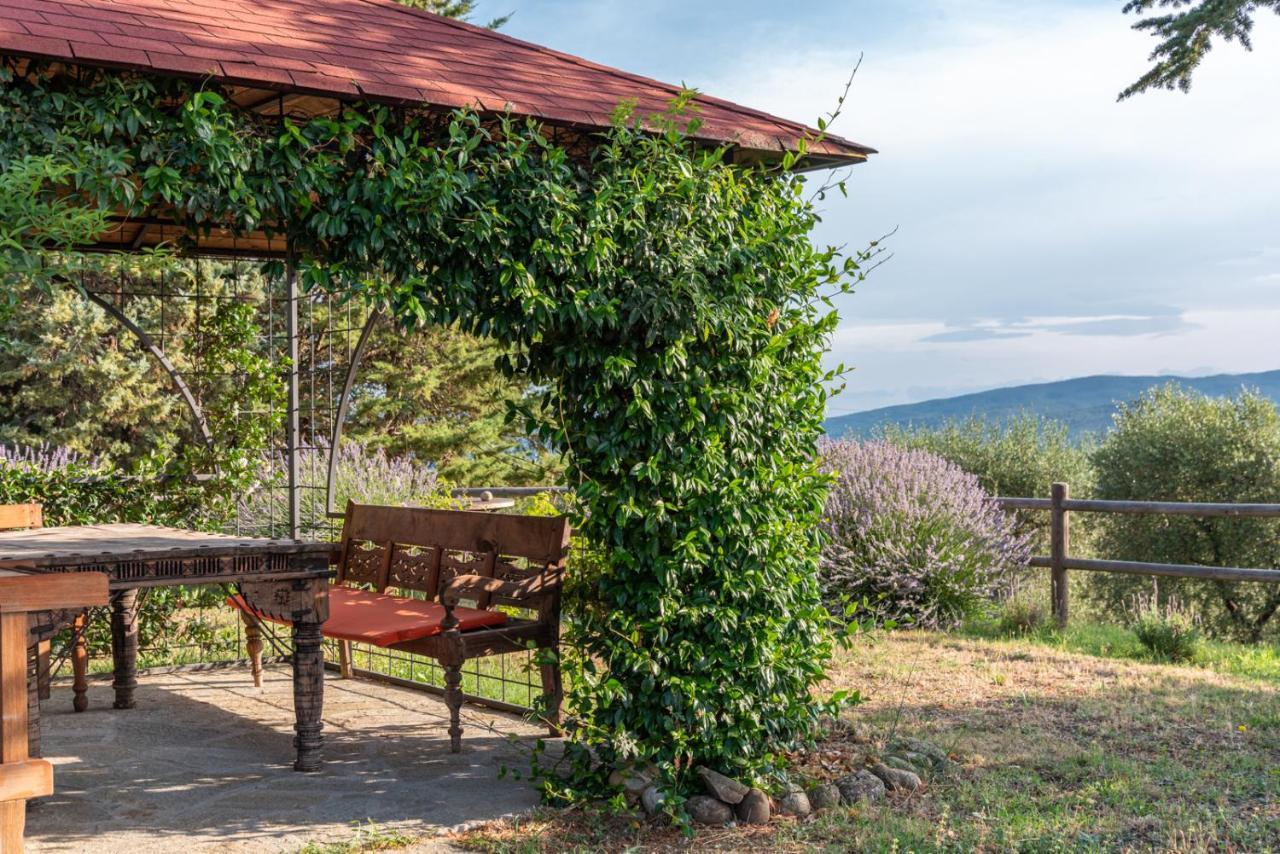 Country House Art And Garden Monte Antico Exterior photo